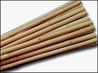 bamboo stake