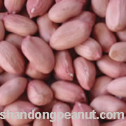 peanut