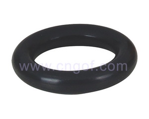 o-ring seal