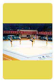 Gymnastic field
