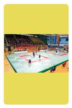 Judo mats