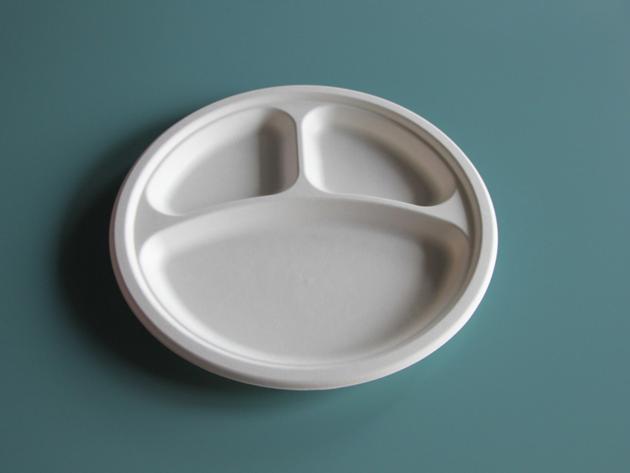 Sugarcane Food Container