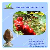 Hawthorn Leaf P.E