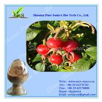 Rose Hips Fruit Extract