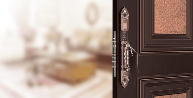 HIGH END SMART DOOR LOCK