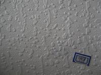 PVC ceiling board 