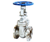 gate valve