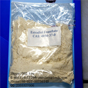 Factory Direct Supplying Top Quality Estradiol Enantate 4956-37-0