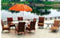 PVC Rattan Outdoor Furniture (Garden Furniture) RF010