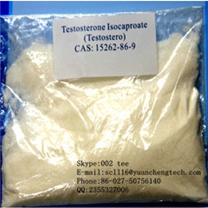 Testosterone Isocaproate CAS NO.: 15262-86-9 tee@ycphar.com 