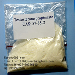 High Purity Testosterone Propionate CAS: 57-85-2 tee@ycphar.com