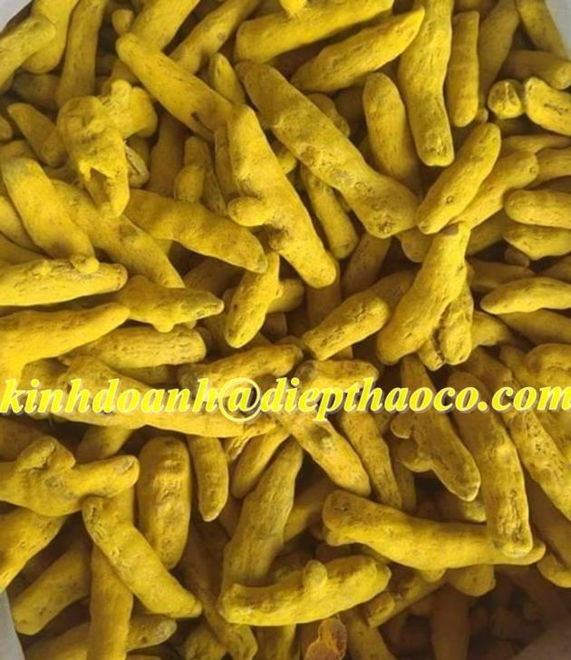 DRIED FINGER TURMERIC / RED TURMERIC