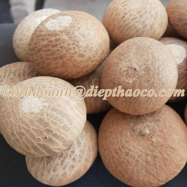 SUPPLIER DRIED ARECA NUT FROM VIETNAM