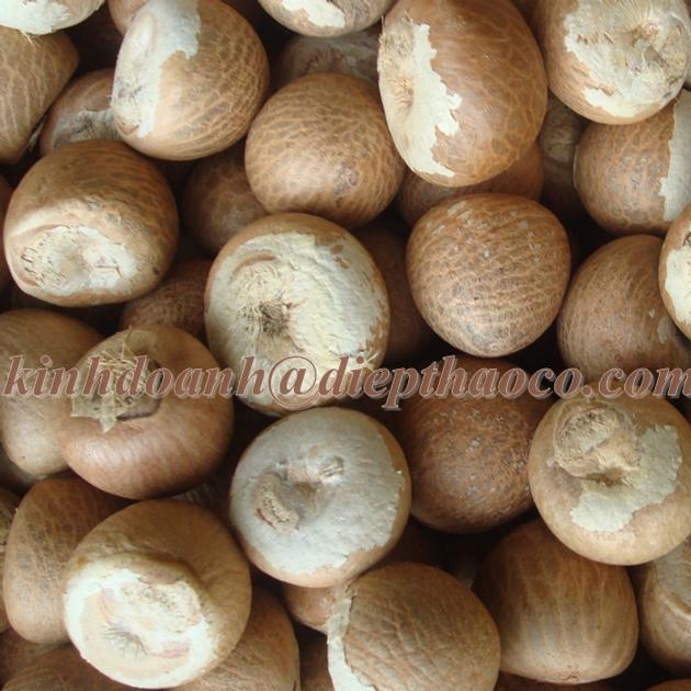 DRIED BETEL NUT / ARECA NUT