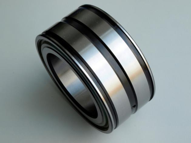 Full Complement Cylindrical Roller Bearing SL01