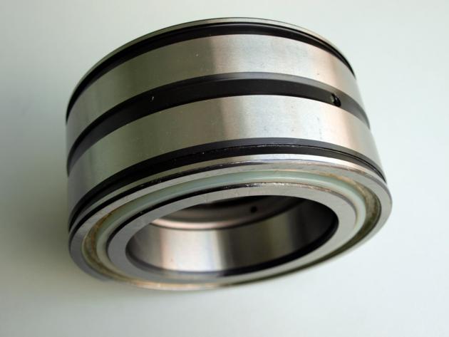 Full Complement Cylindrical Roller Bearing SL01