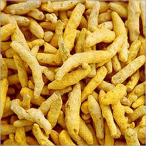 SPICES - TURMERIC