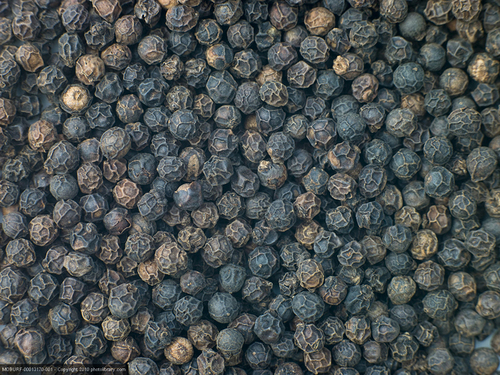 SPICES - BLACK PEPPER
