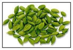 SPICES-GREEN GARDAMOM