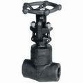 Forging Steel Gate Valve 1