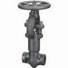 Forging Steel Globe Valve 3