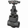 Forging Steel Globe Valve 1