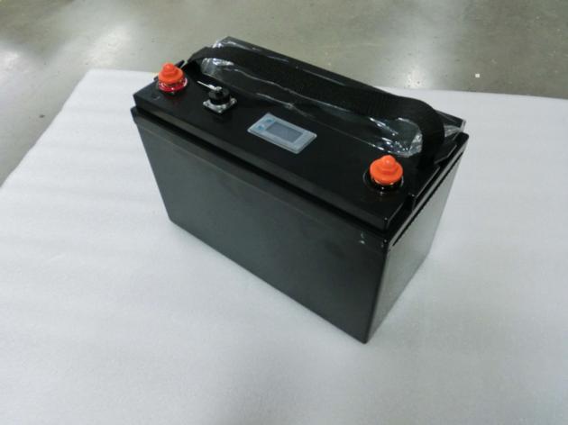 12 8V100Ah LiFePO4 Lithium Battery