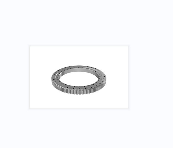 Slewing Ring