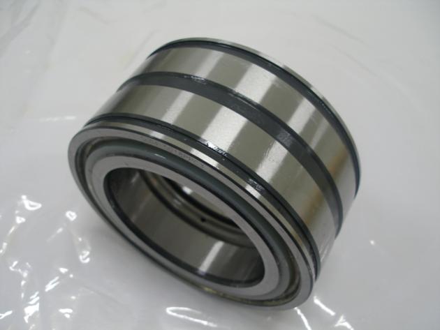 Full Complement Cylindrical Roller Bearing SL01