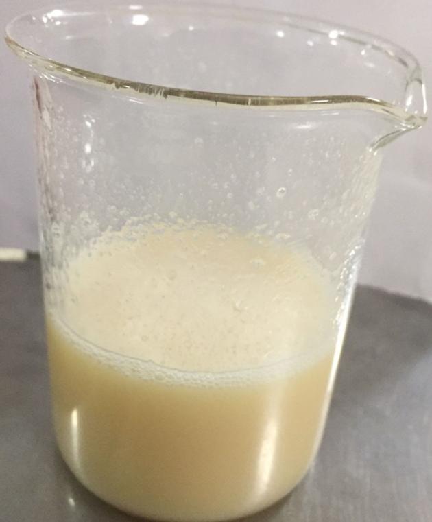 Sweetened Condensed Milk Powder