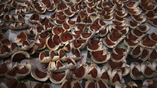 Supply Of Dry Areca Nut For
