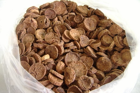 Supply Of Dry Areca Nut For