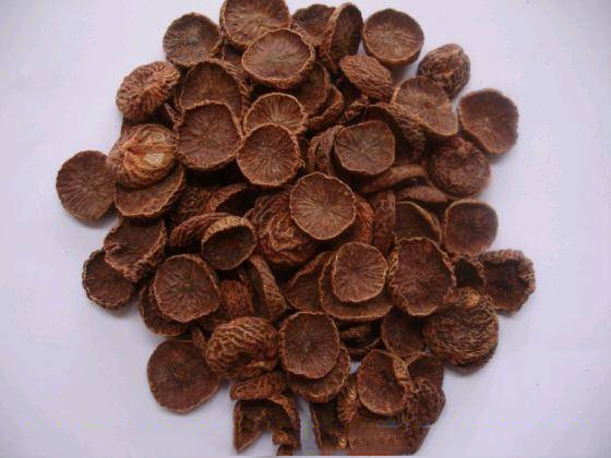 Supply Of Dry Areca Nut For