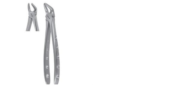 Extraction Forceps Lower Premolar Fig 8, Best Extraction Forceps Dental