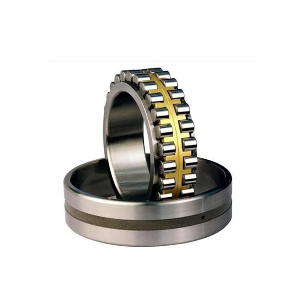 Full Complement Cylindrical Roller Bearing SL01