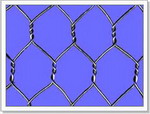 hexagonal wire mesh