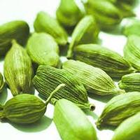 Annai Paruvatham International Exports