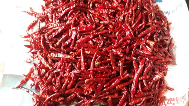 Trade Chance To Export and Import TEJA S17 Chili From India