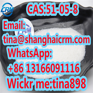 CAS 51 05 8 Procaine Hydrochloride