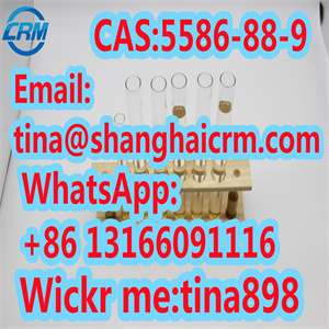 CAS 5586-88-9 1-(4-Chlorophenyl)acetone