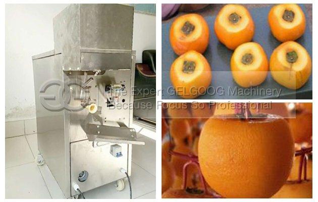 Dried Persimmon Processing Pachine