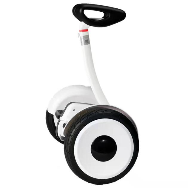 Self Balancing Scooter 10 Inch Big
