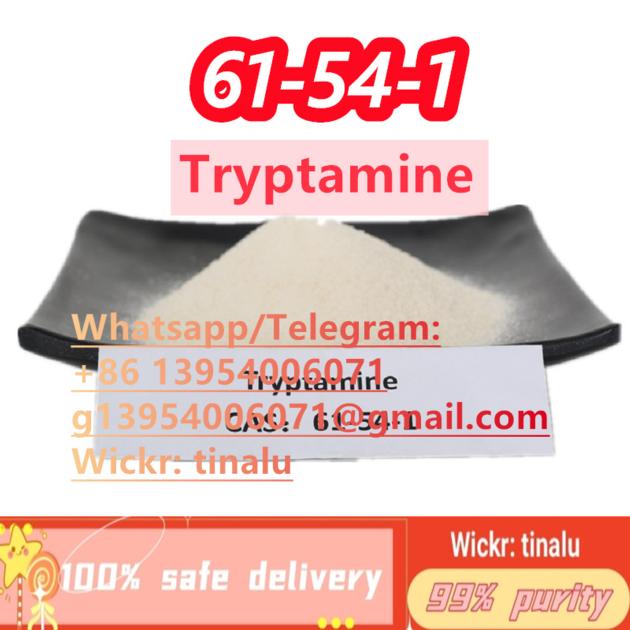 Tryptamine CAS 61–54–1 61–54–1 Purity 99%