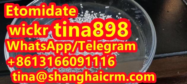 CAS 33125 97 2 Etomidate Factory