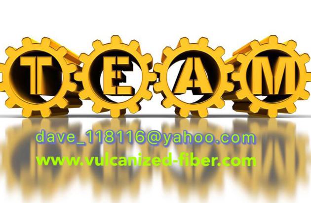 Stainless Steel Spur Gears Bronze Spur