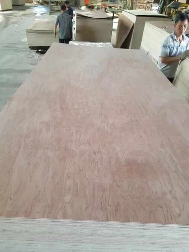bintangor plywood poplar core E1/E0 glue furniture use