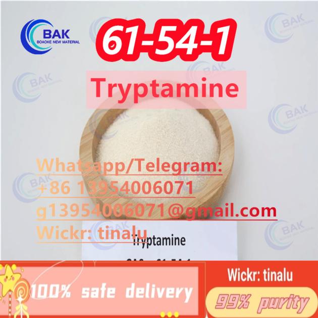 Tryptamine CAS 61 54 1 61