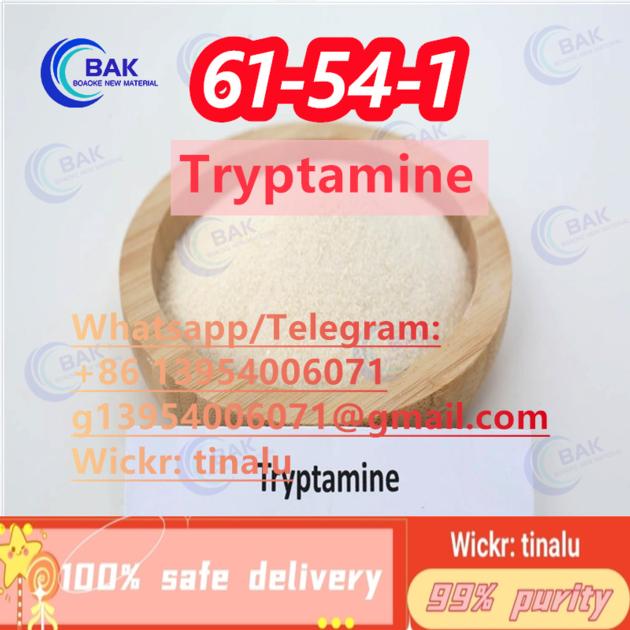 Tryptamine CAS 61 54 1 61