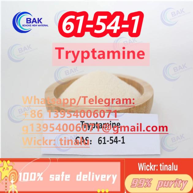 Tryptamine CAS 61 54 1 61