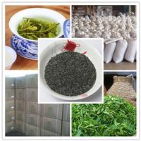 Chunmee green tea 41022